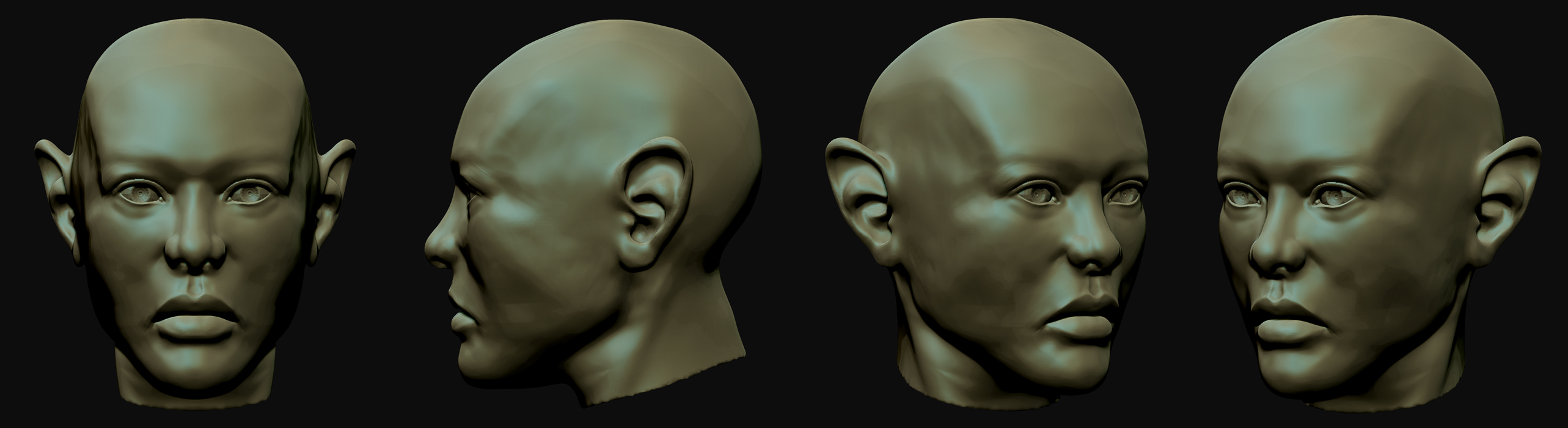 Head-2.jpg