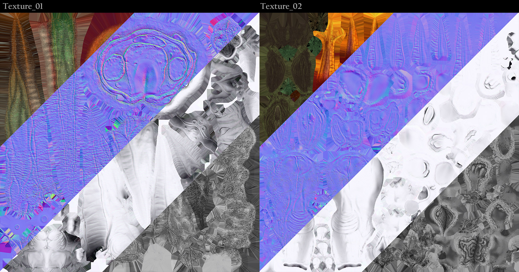 Fungh_Textures_KarthikAlagappan.jpg