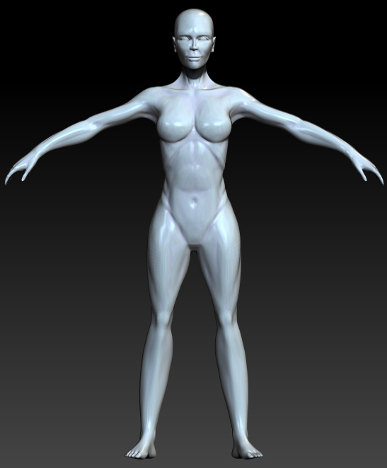 FEMALE ANATOMY retry22.jpg
