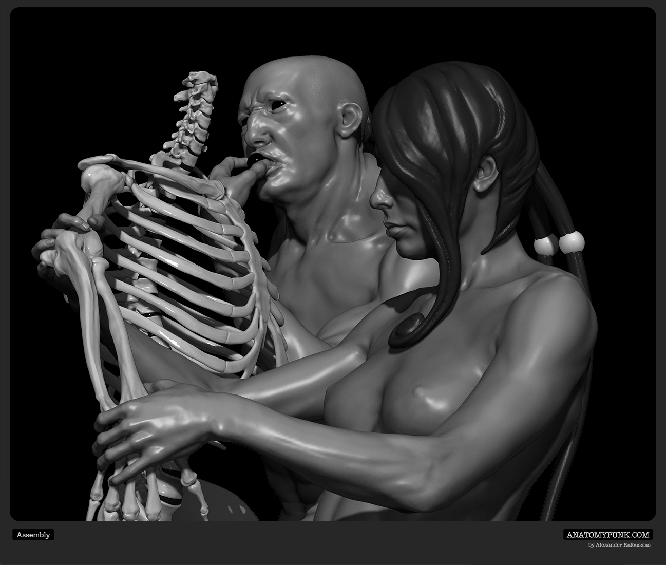 Assembly view 7_Anatomypunk.jpeg