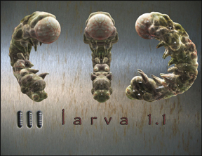 larvae 1.jpg