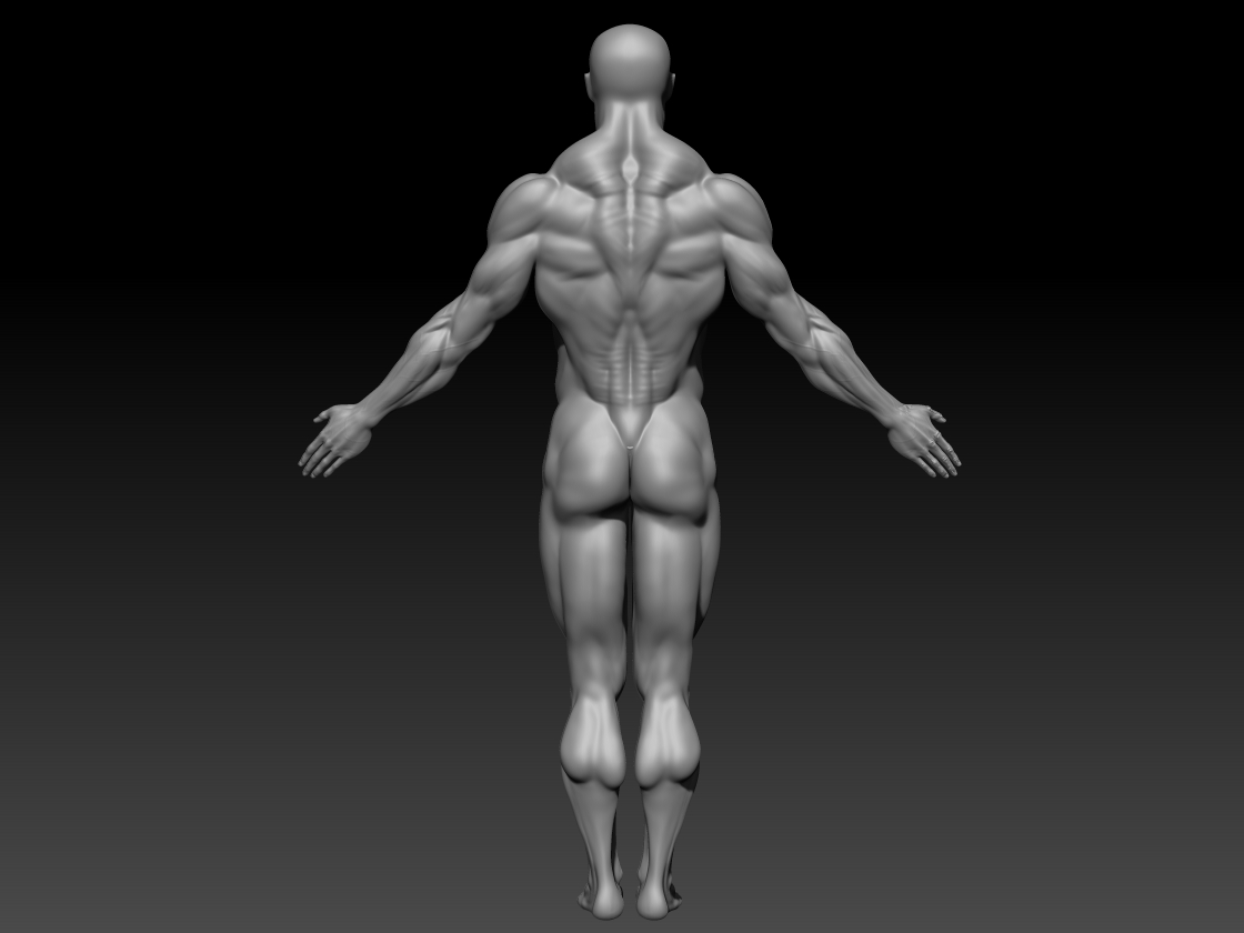back_1.jpg