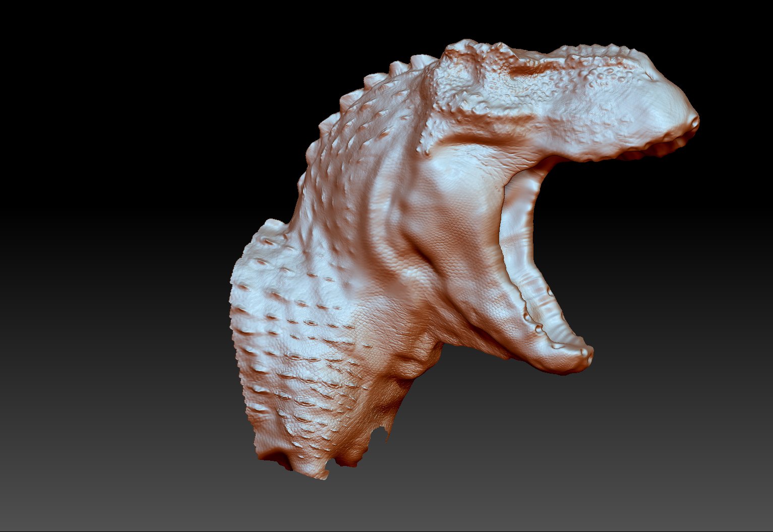 ZBrush Document.jpg