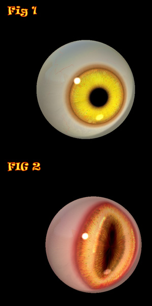user_image-1023651547iua.jpg
