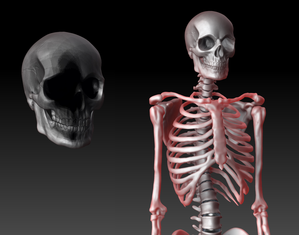 sssrendering.jpg