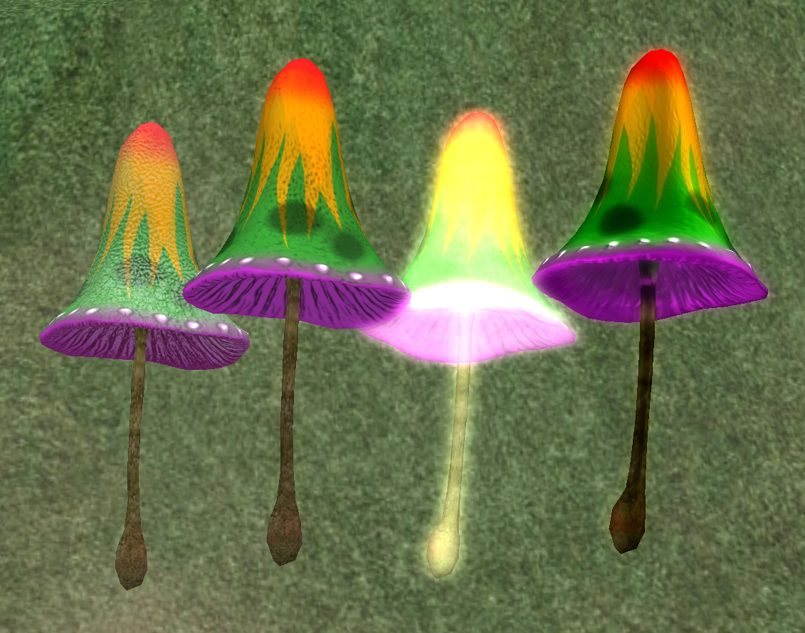 shrooms.jpg