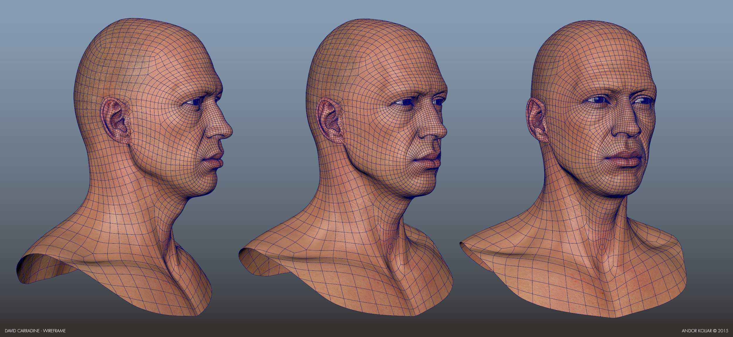 Andor-Kollar_Carradine-Head_wireframe_2.jpg