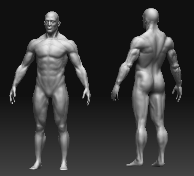 Male_1.gif