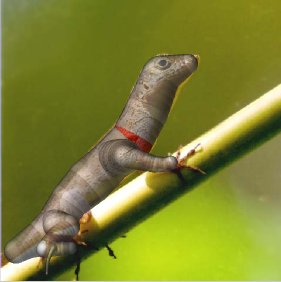 Image1.jpg