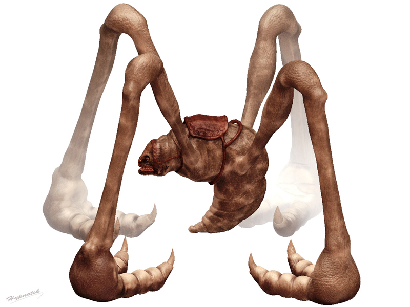 spider-3.jpg