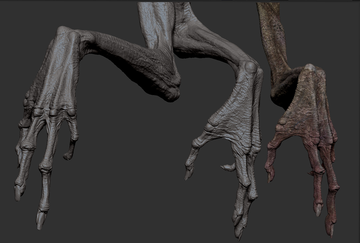 hands.jpg