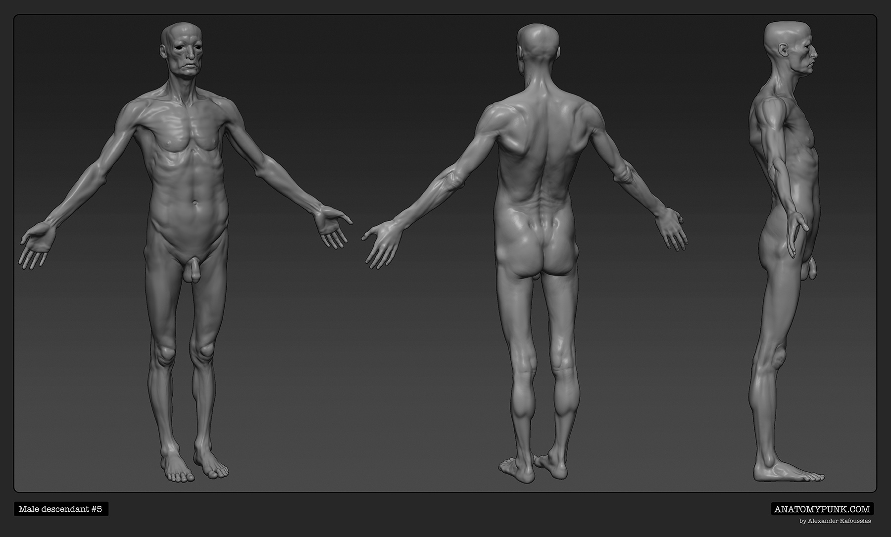 MaleDescendant5_spin.jpeg