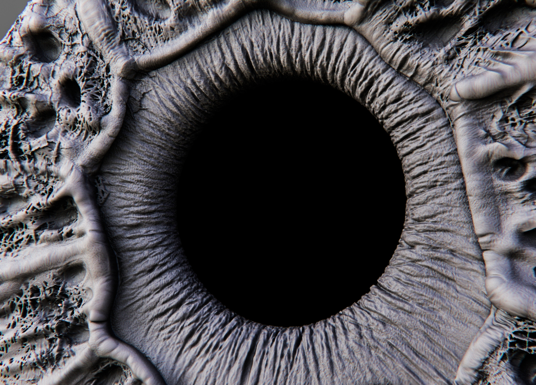 Pupila OJO macro.261.jpg