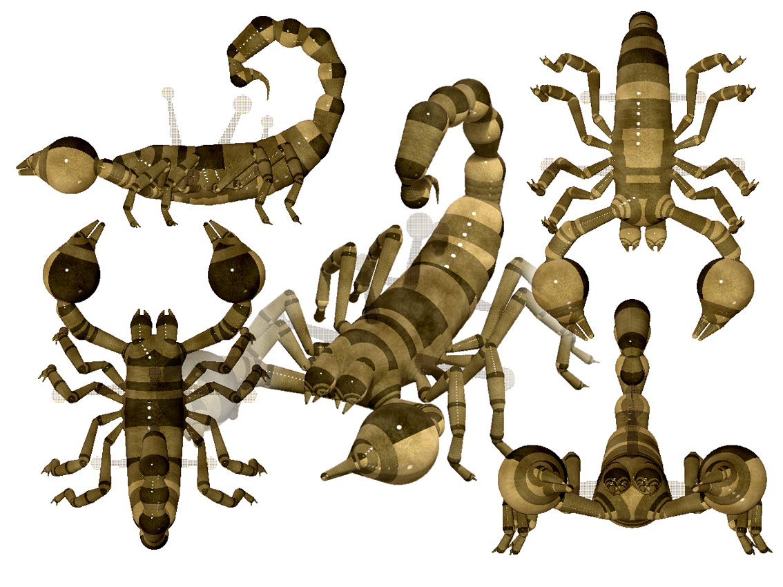 scorpion_01.jpg
