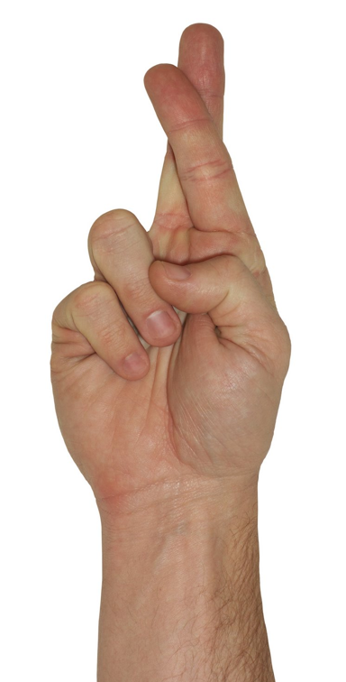 fingers crossed.png