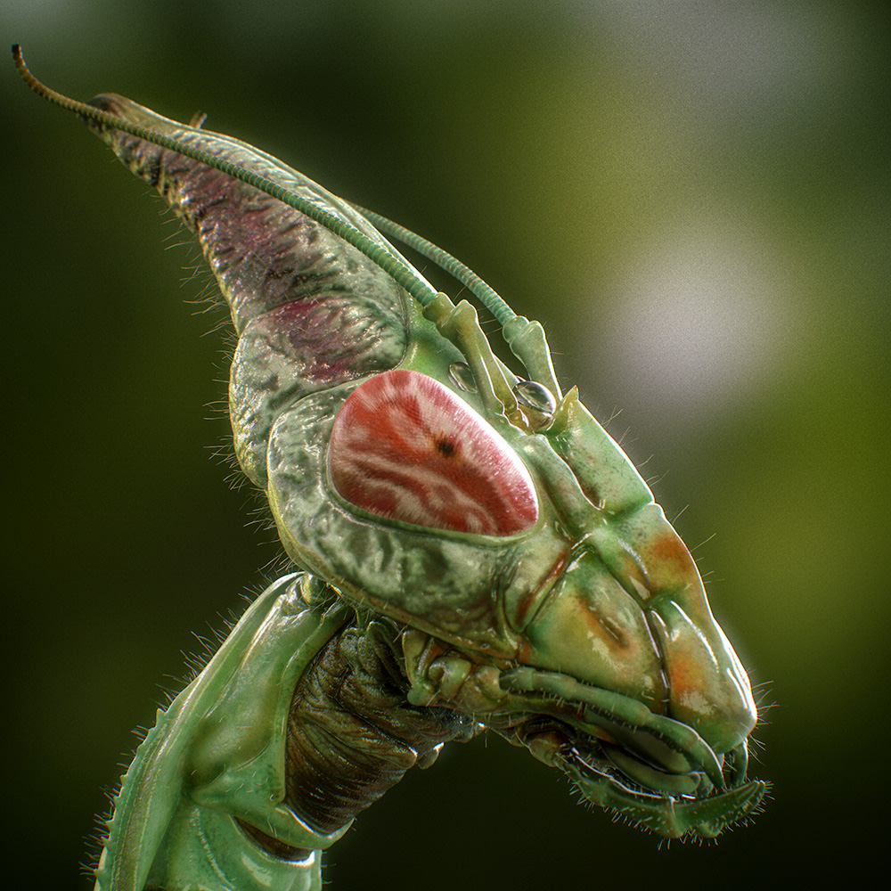 Idolomantis-Diabolica_01.jpg