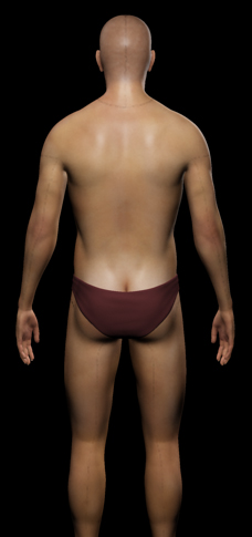 gayUVseams.jpg