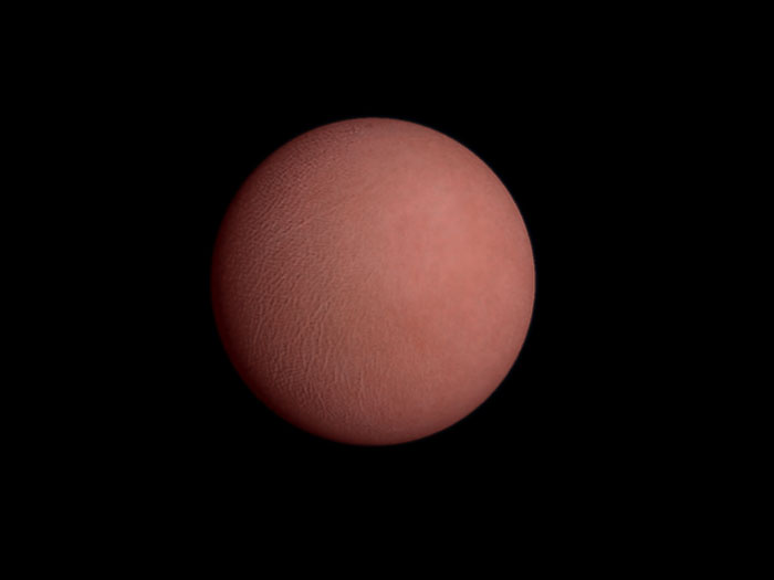 FLESH.jpg