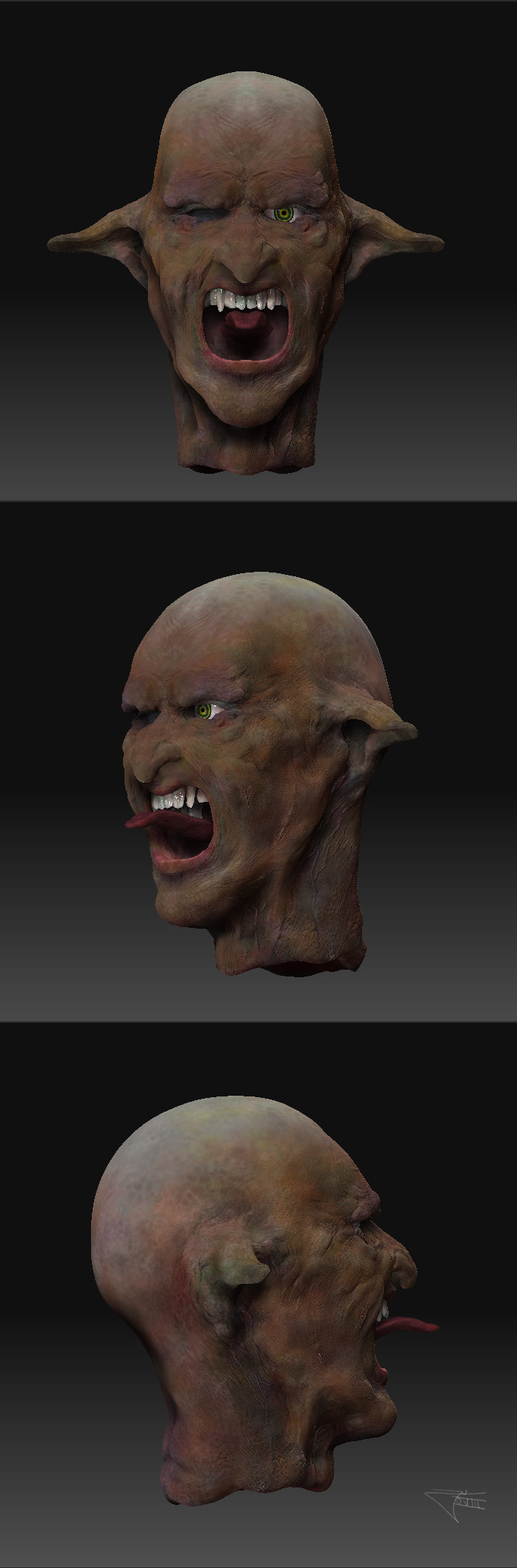 prev_head_perspectives.jpg