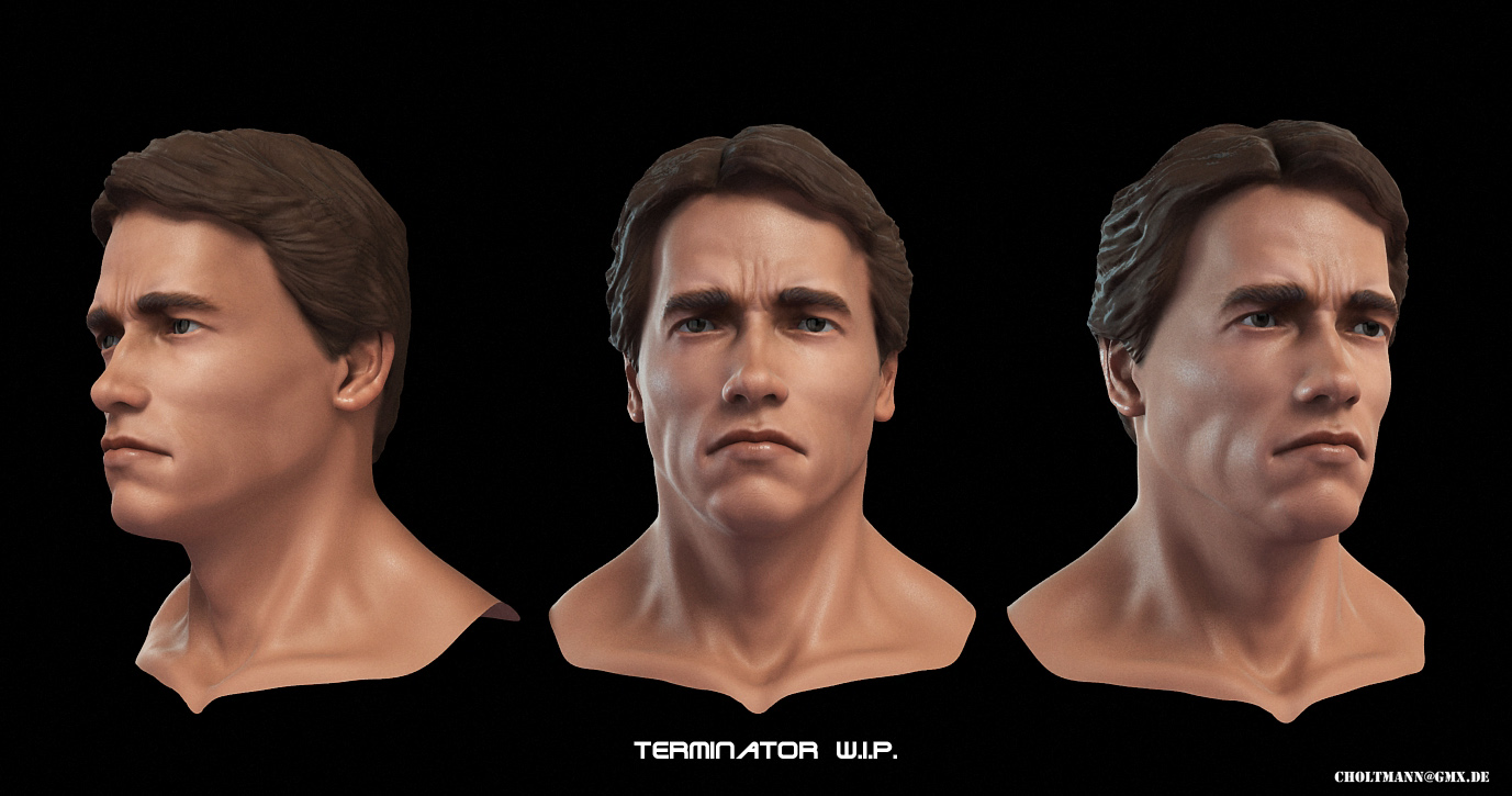 arniwip.jpg