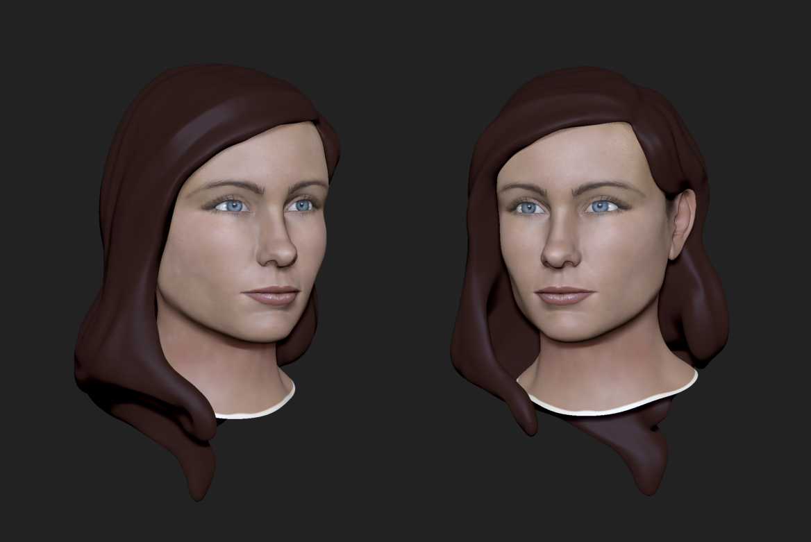 girlbust_wip6.jpg