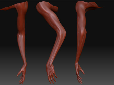 hand2.jpg