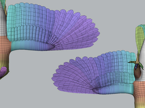 wing.jpg