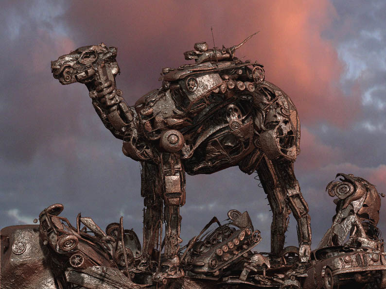 camel14.jpg