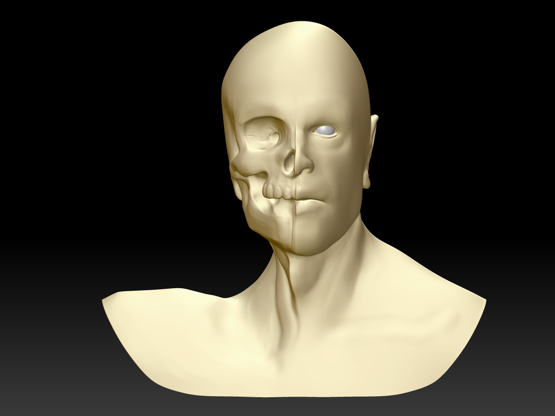 male_bust.jpg