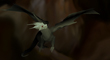 OLDMASTER ALPHA DRAGON 10.jpg