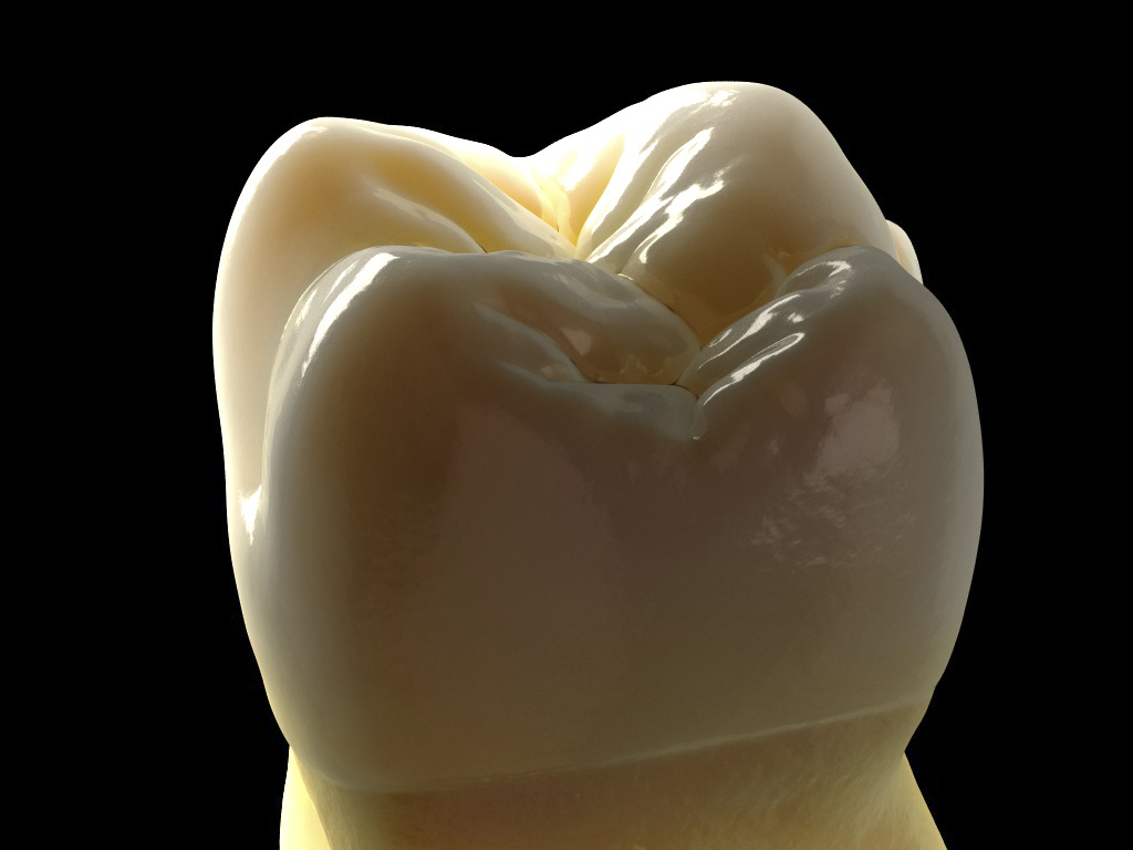 anatomy-29.jpg
