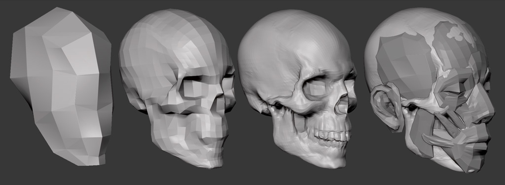 StudyMesh.jpg