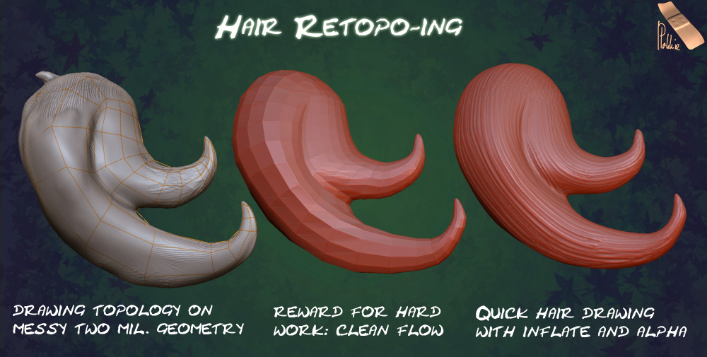 hairtopo.jpg