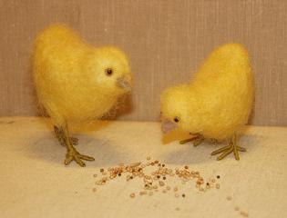 chickens.jpg