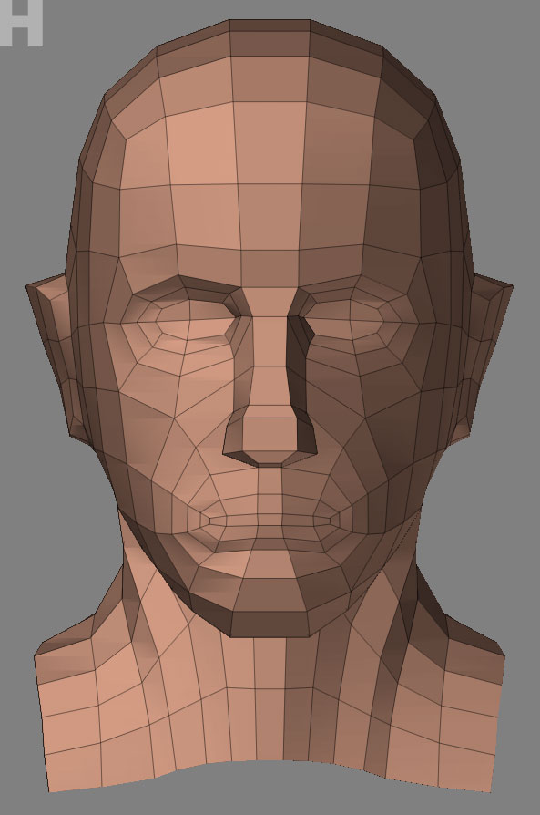 head.jpg