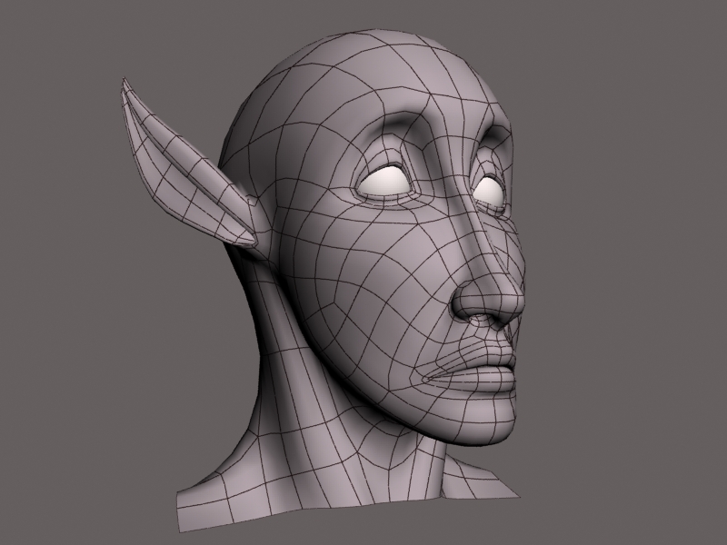 woman head wip 4.jpg