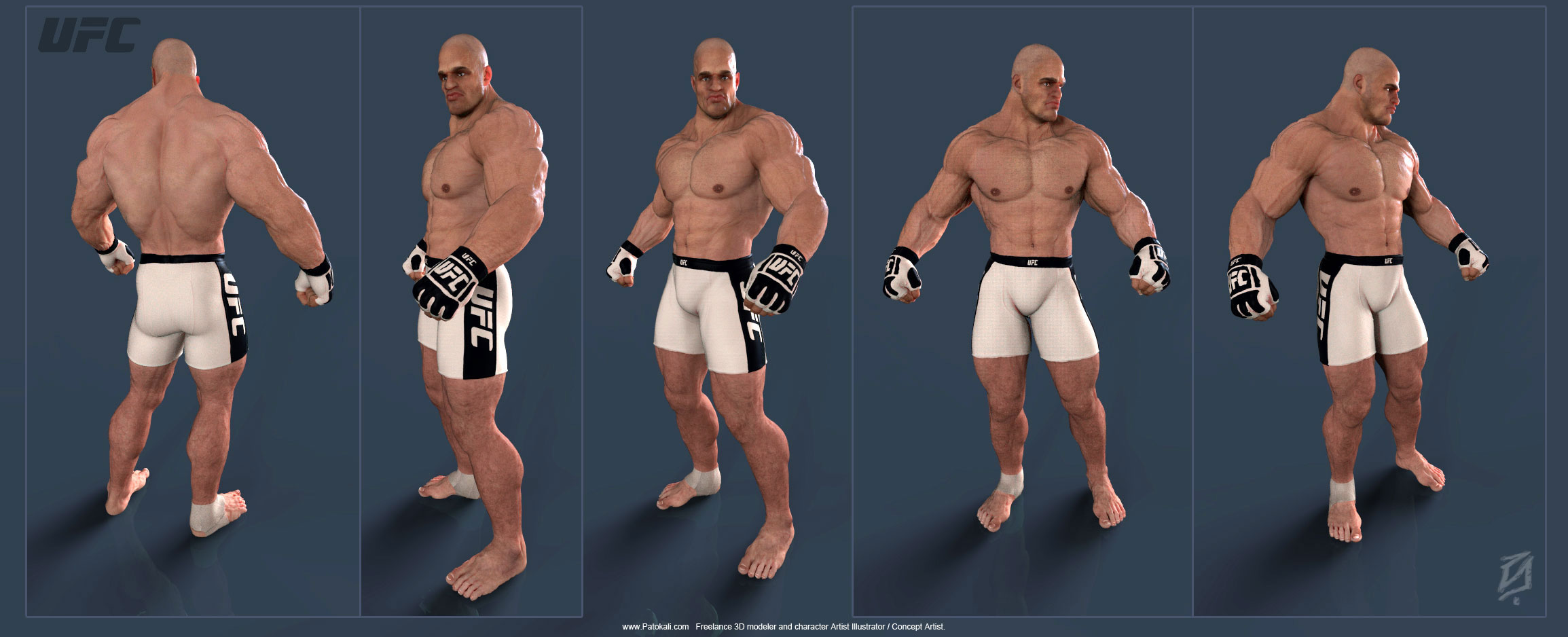 UFC2012b1.jpg