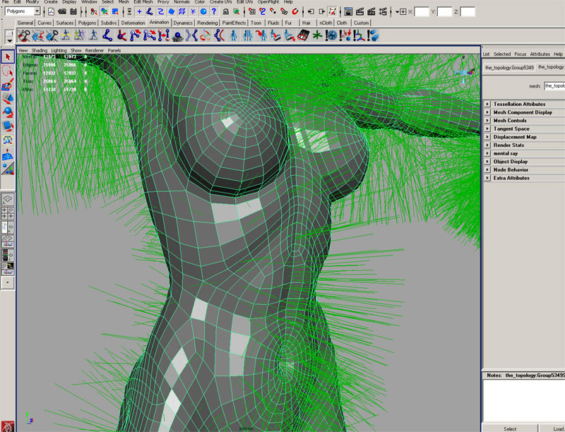 step8.jpg
