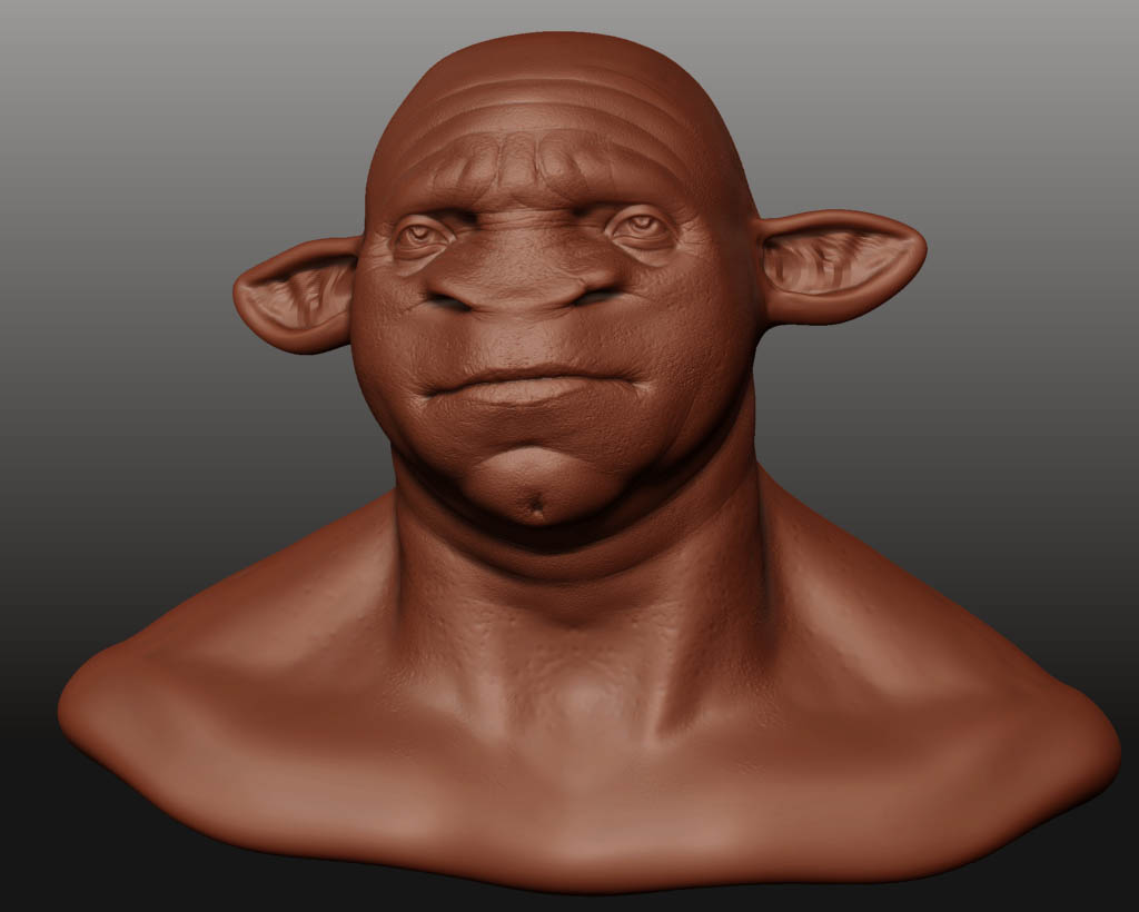 bull.jpg