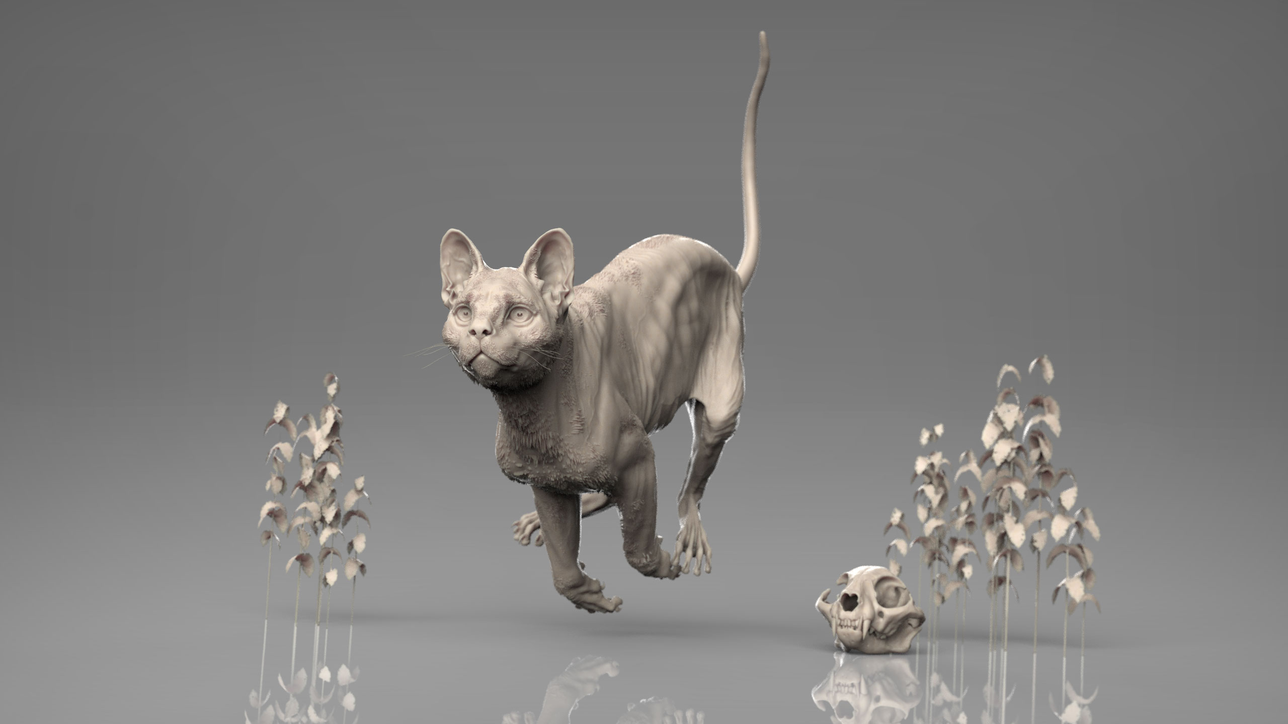 MarcusTrolldenier_SculptingAnatomy_week6_domestic_cat_03.jpg