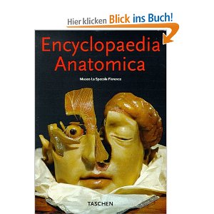 La_Specola.jpg