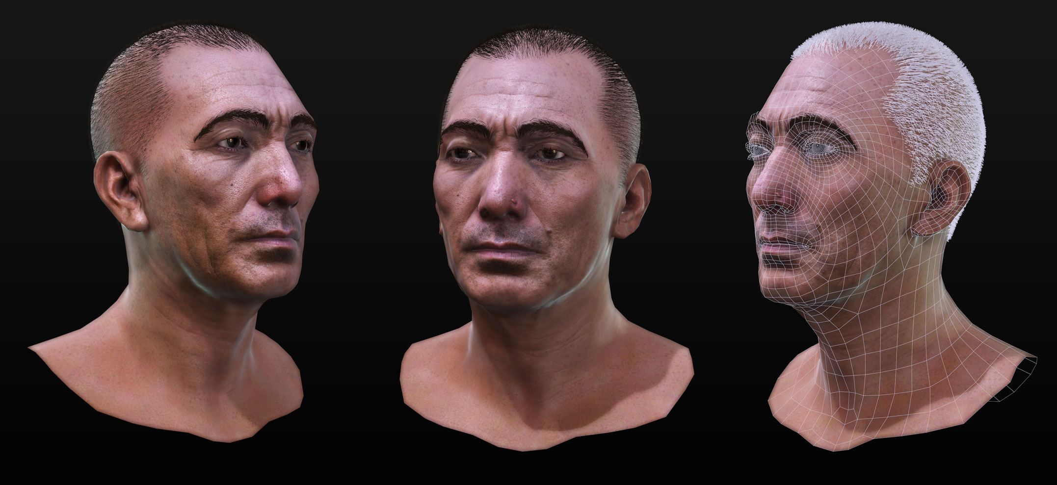 Head.jpg
