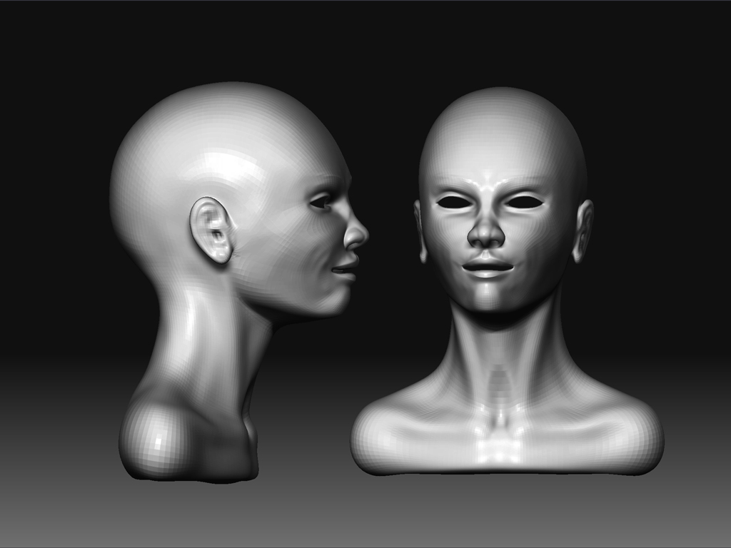 femhead2.jpg