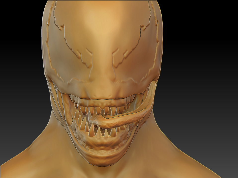 tongue_test_1.jpg
