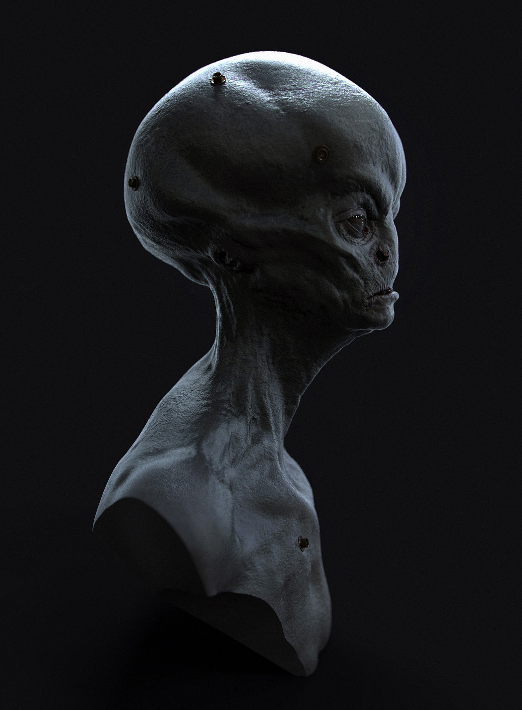 grey 002 SM.jpg