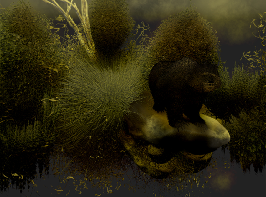 WATER PLANTS 14.jpg