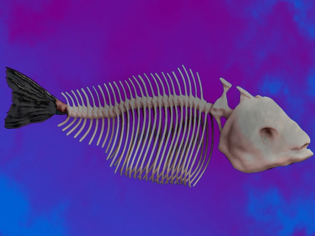 fishbones200k.jpg