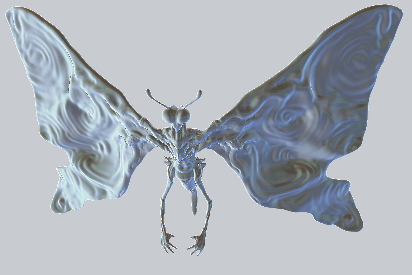 moth4web1.jpg