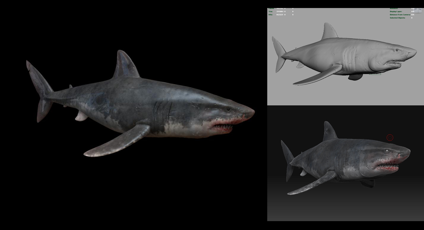 GreatWhiteShark.jpg