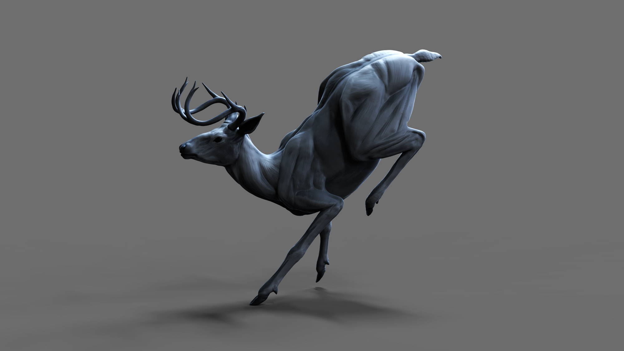 deerposeComp03a.jpg